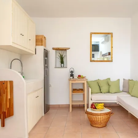 Holiday home My Vintage - Naxos Agios Prokopios (Naxos)